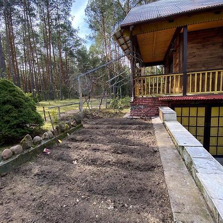 Lesny Czar Villa Serock Bagian luar foto