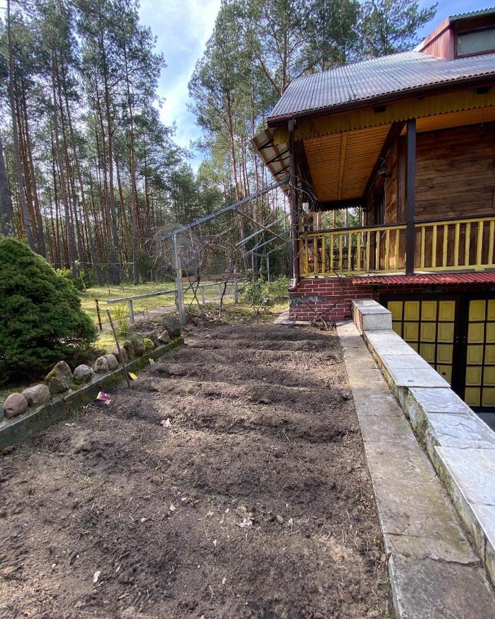 Lesny Czar Villa Serock Bagian luar foto